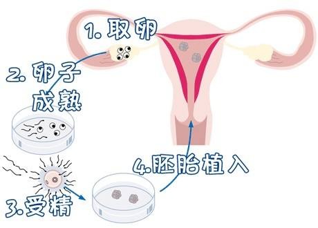 承济医学中心